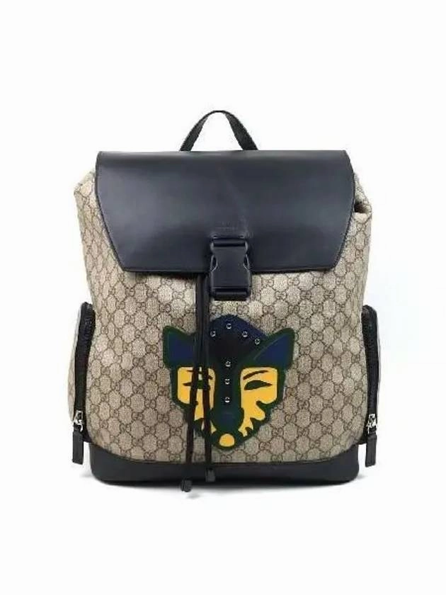 412097 backpack bag