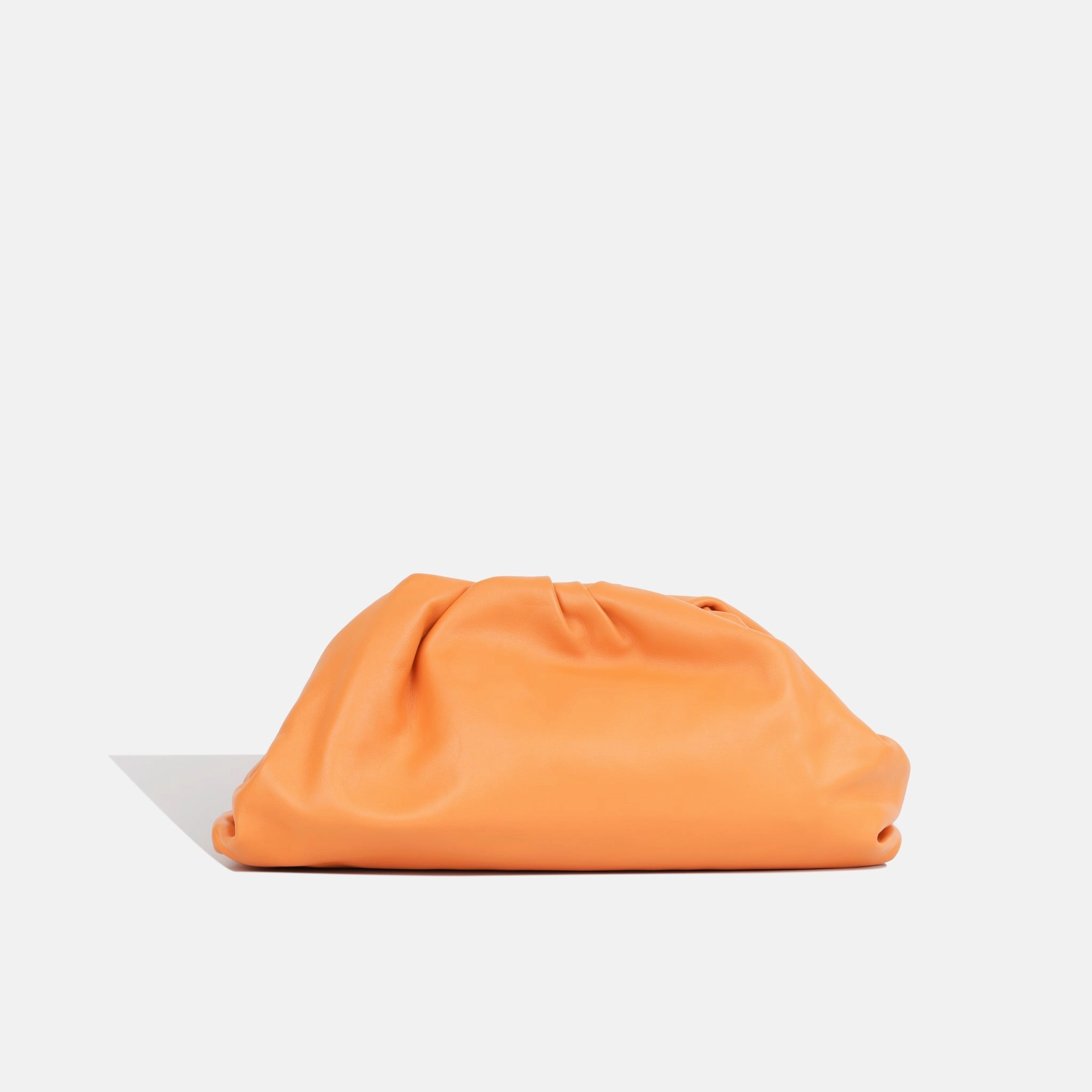 Bottega Veneta The Pouch