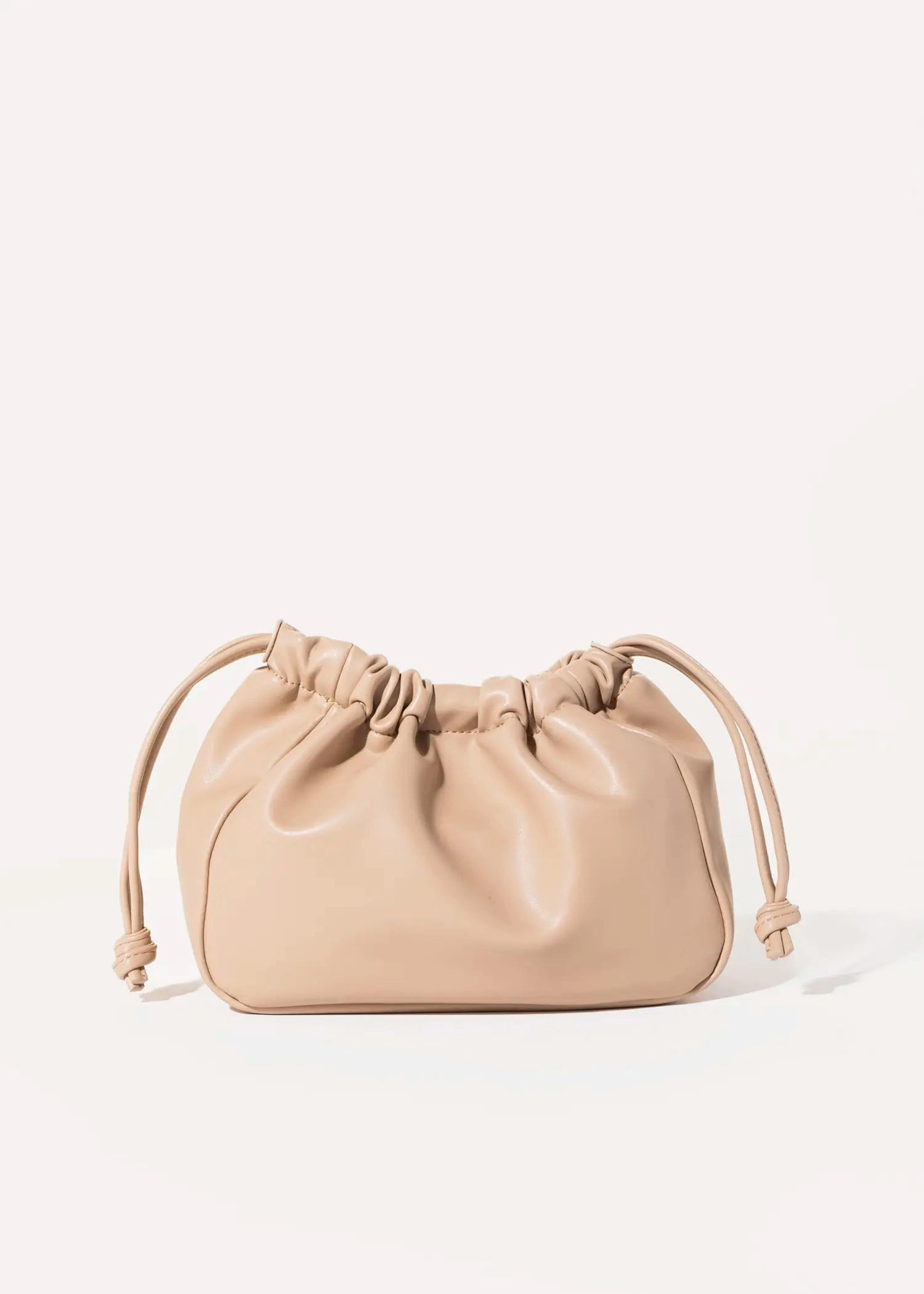 Brielle Pouch Bag