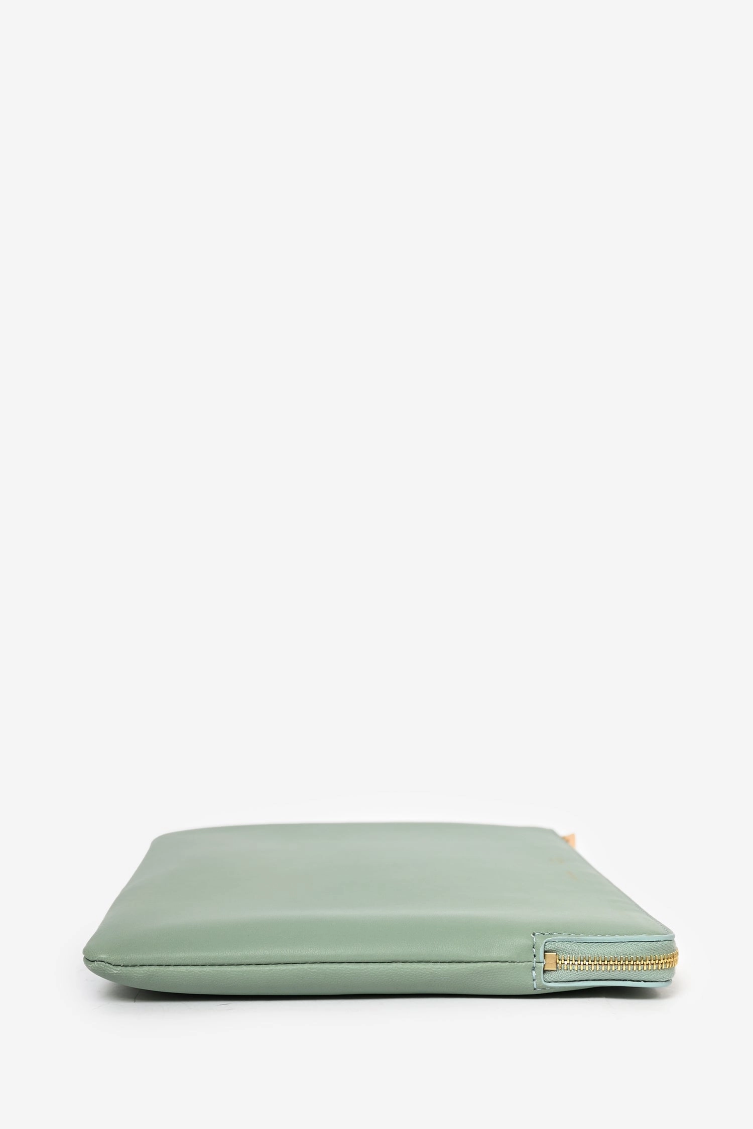 Celine Clear PVC Logo Tote with Green Leather Pouch
