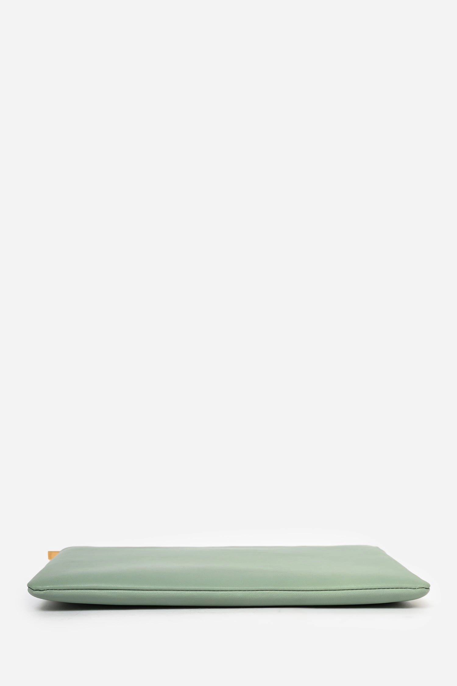 Celine Clear PVC Logo Tote with Green Leather Pouch