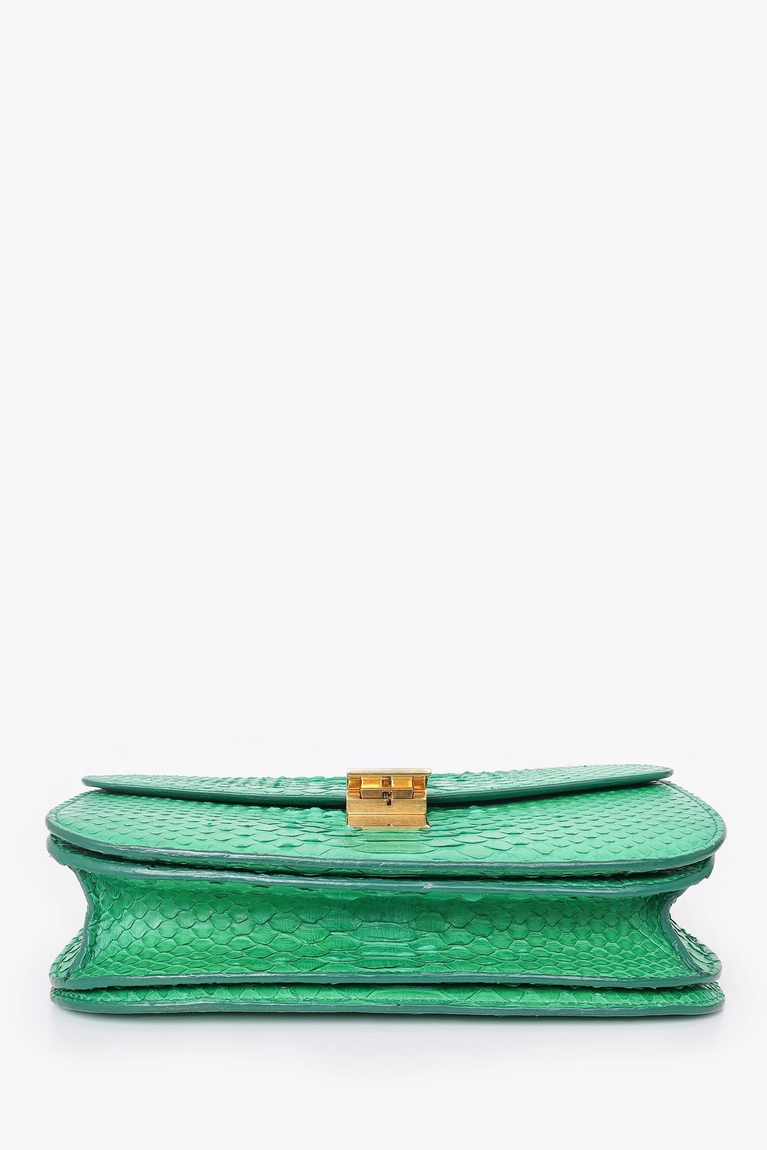Celine Green Python Leather Medium Box Crossbody