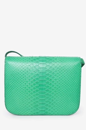 Celine Green Python Leather Medium Box Crossbody