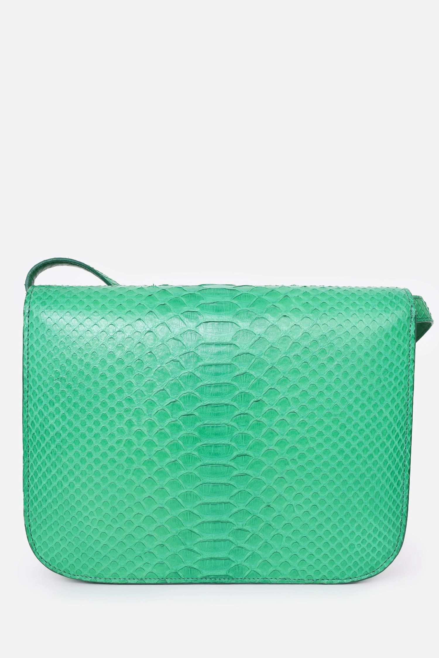 Celine Green Python Leather Medium Box Crossbody