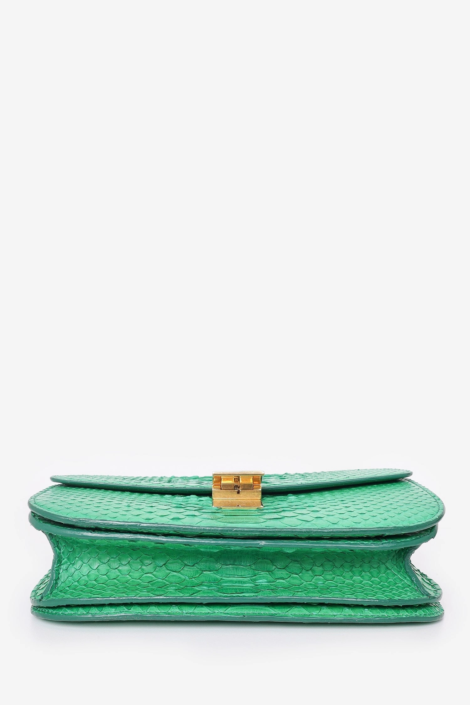 Celine Green Python Leather Medium Box Crossbody