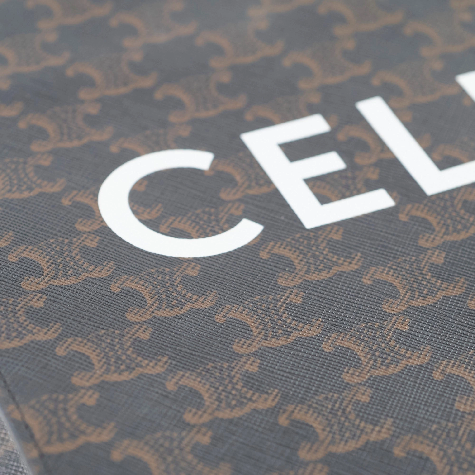 Celine Vertical Cabas Canvas Tote Brown