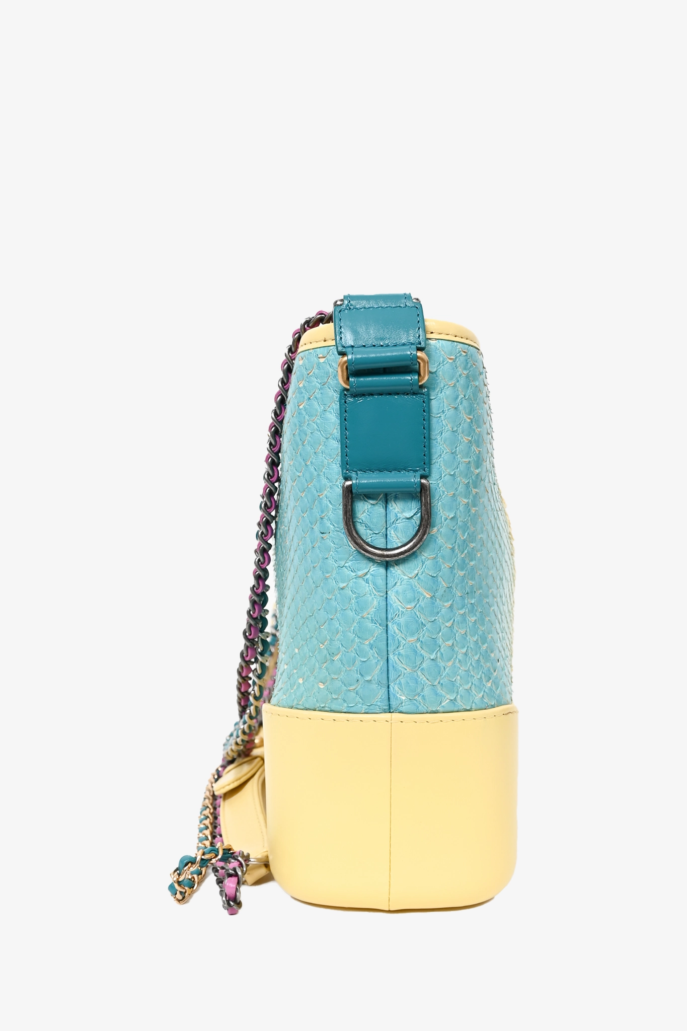 Chanel Cruise 2019 Multicolour Rainbow Python Medium Gabrielle Bag