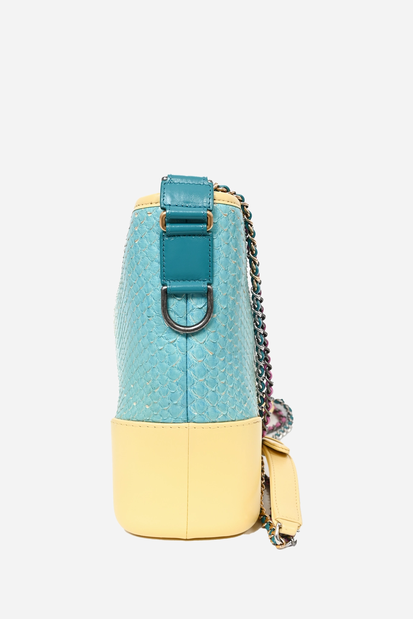 Chanel Cruise 2019 Multicolour Rainbow Python Medium Gabrielle Bag