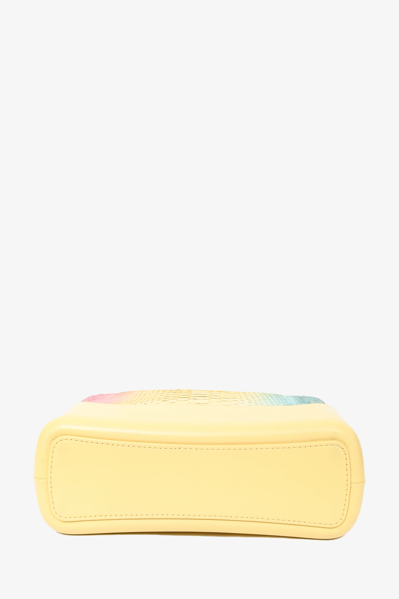 Chanel Cruise 2019 Multicolour Rainbow Python Medium Gabrielle Bag