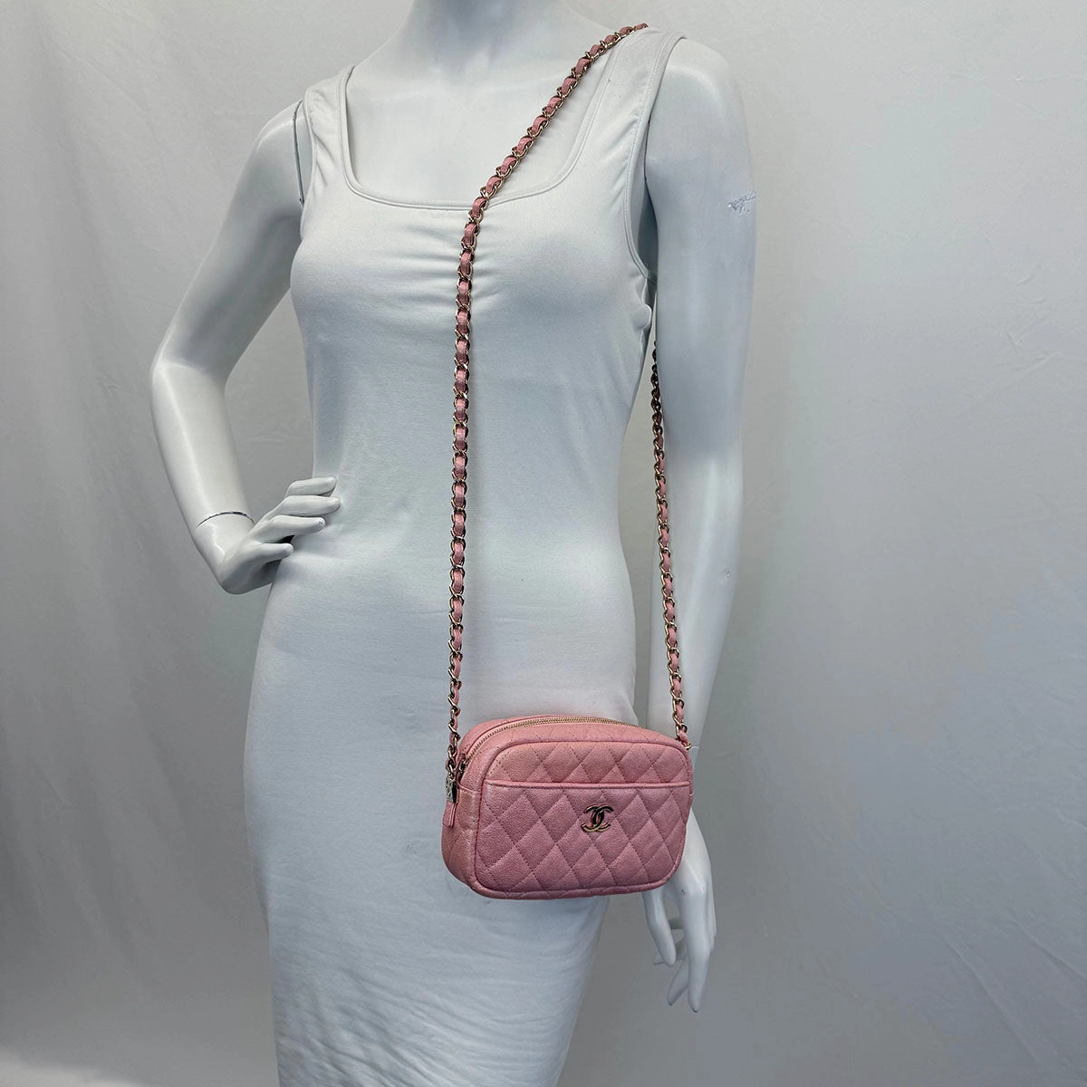 Chanel Iridescent Camera Bag