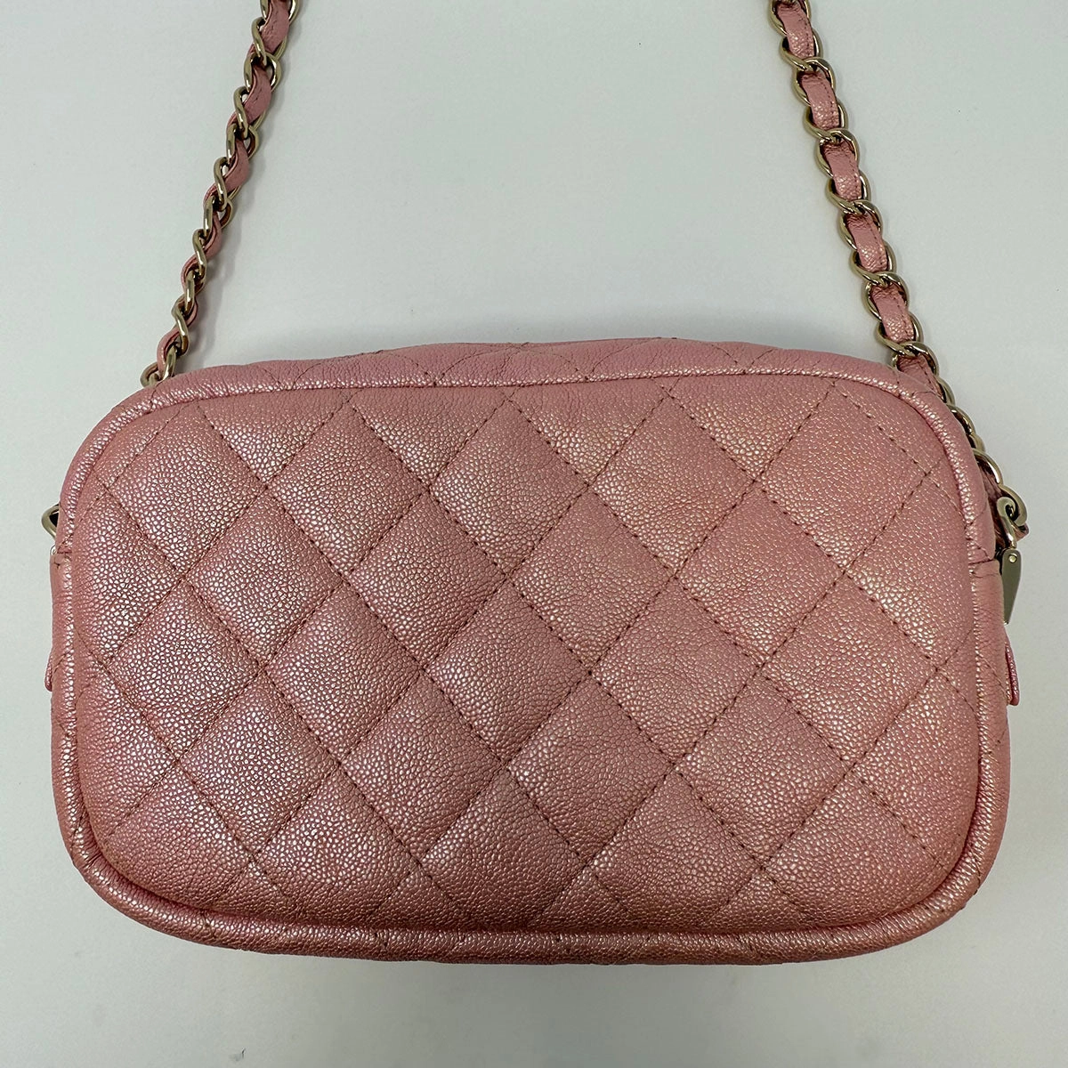 Chanel Iridescent Camera Bag