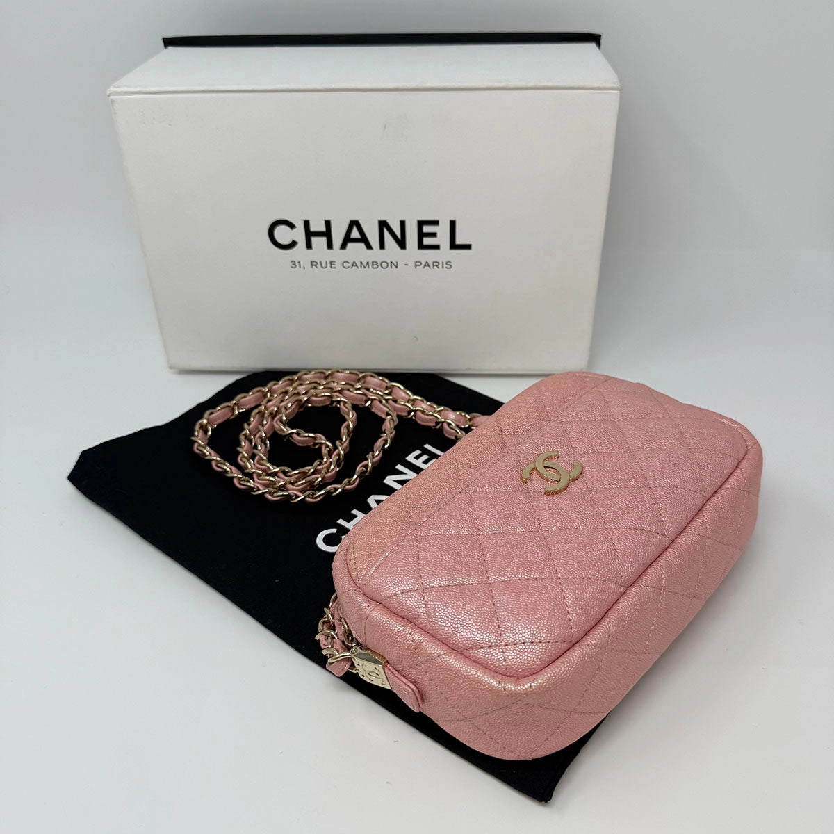 Chanel Iridescent Camera Bag