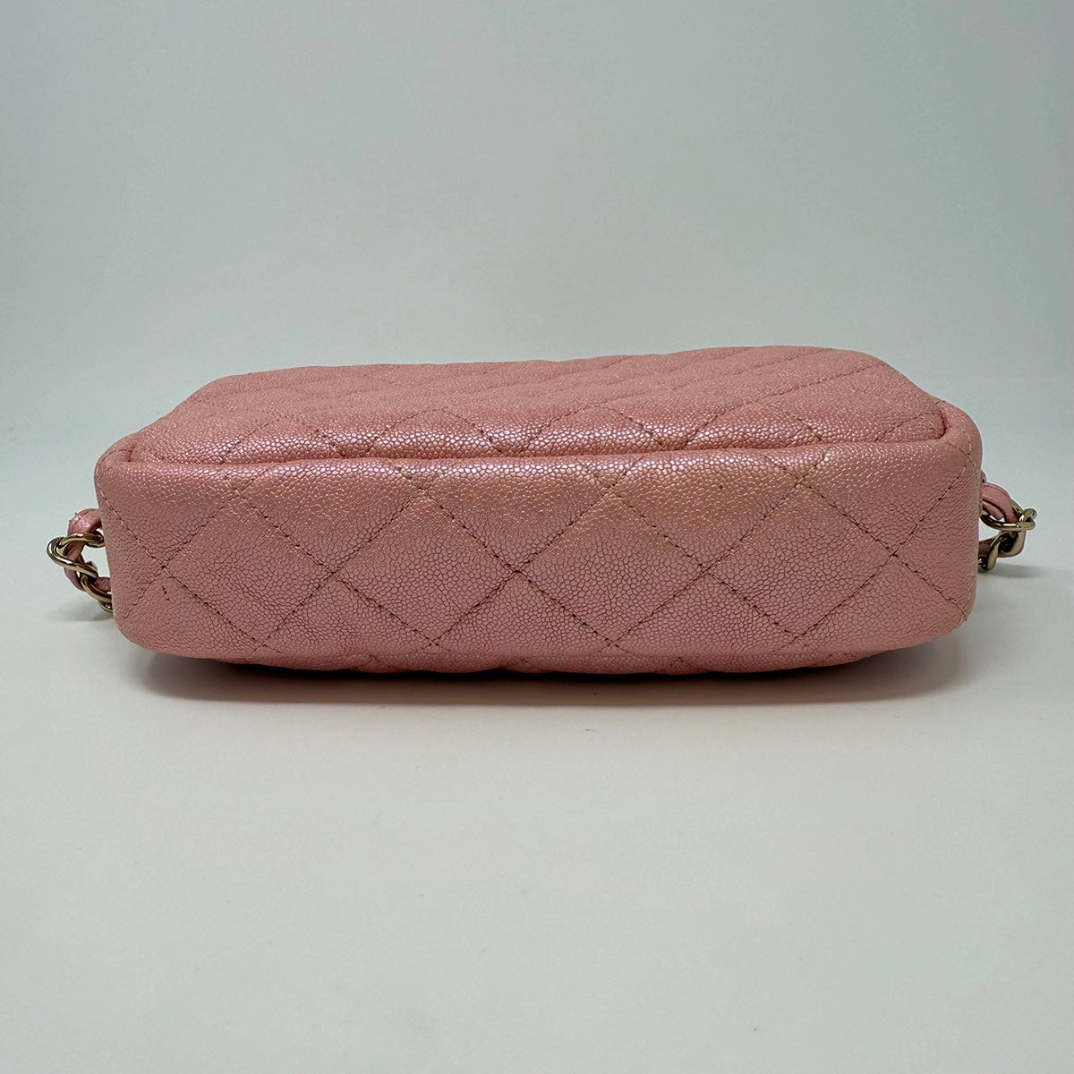 Chanel Iridescent Camera Bag
