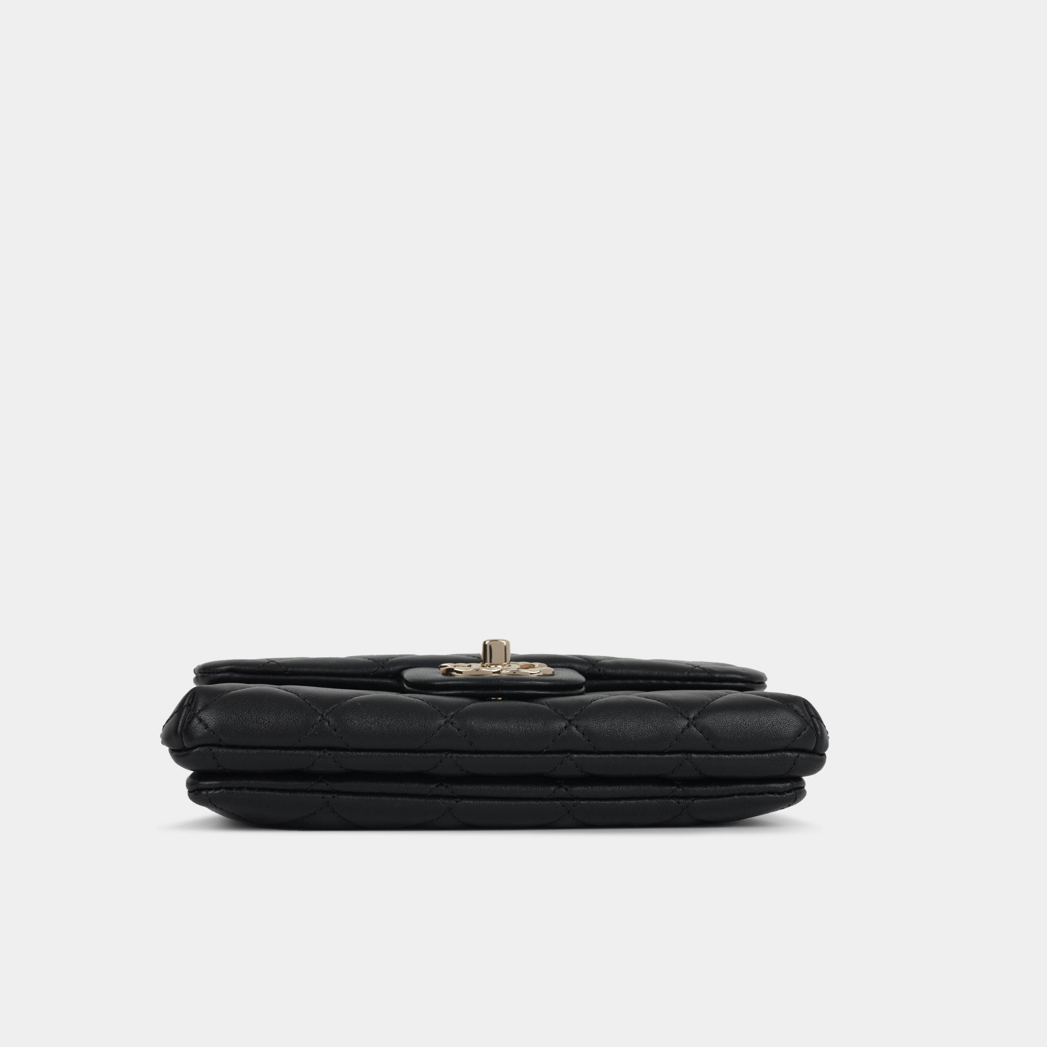 Chanel Mini Seasonal Pocket Flap