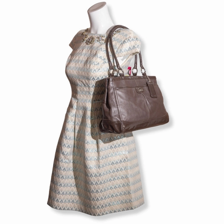 Coach Park Carryall Satchel