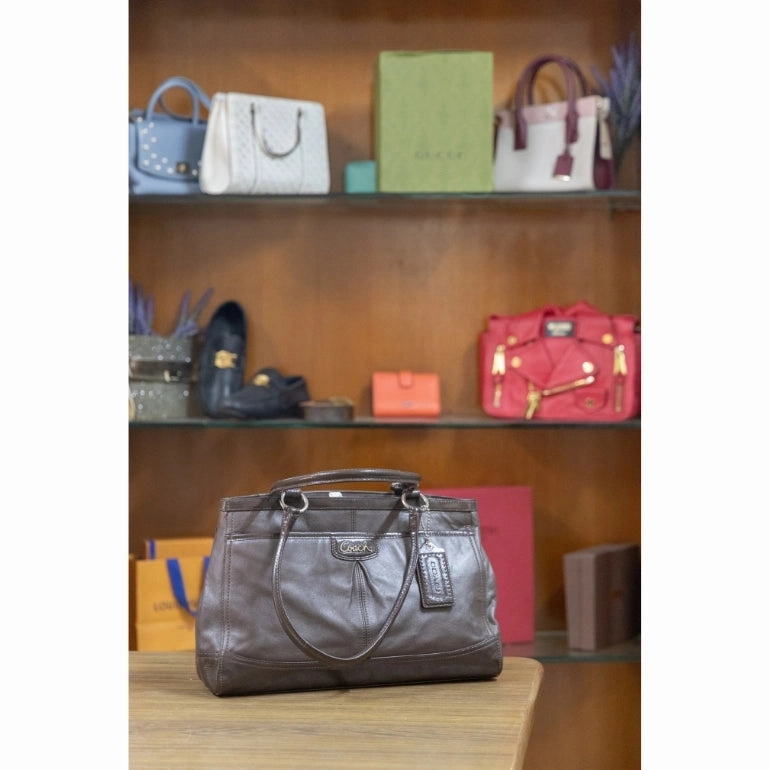 Coach Park Carryall Satchel