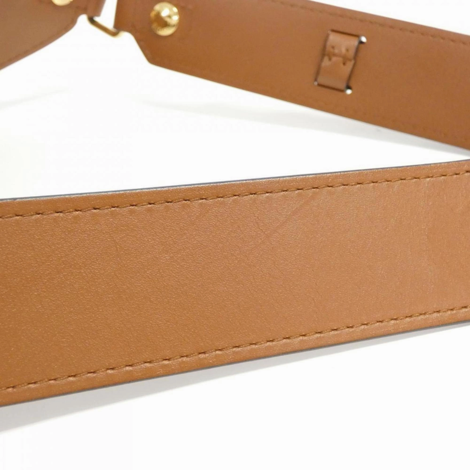 Dauphine Canvas Crossbody Bag with Dust Bag