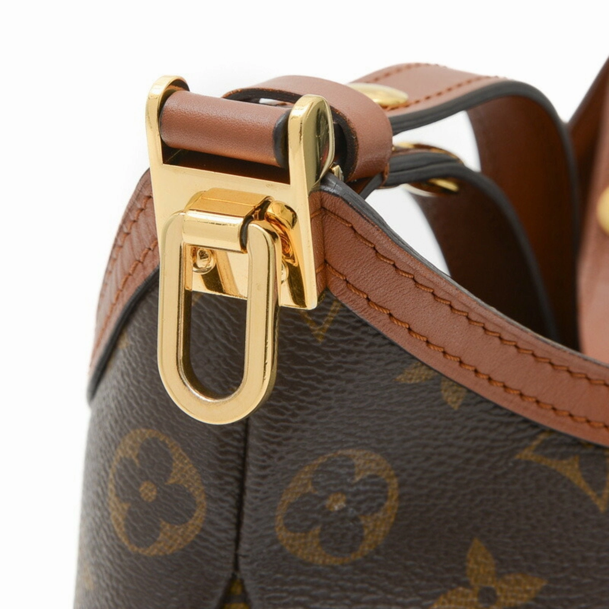 Dauphine Hobo Canvas Bag with Dust Bag and Shoulder Strap