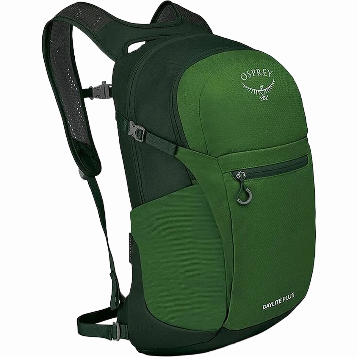 Daylite Plus