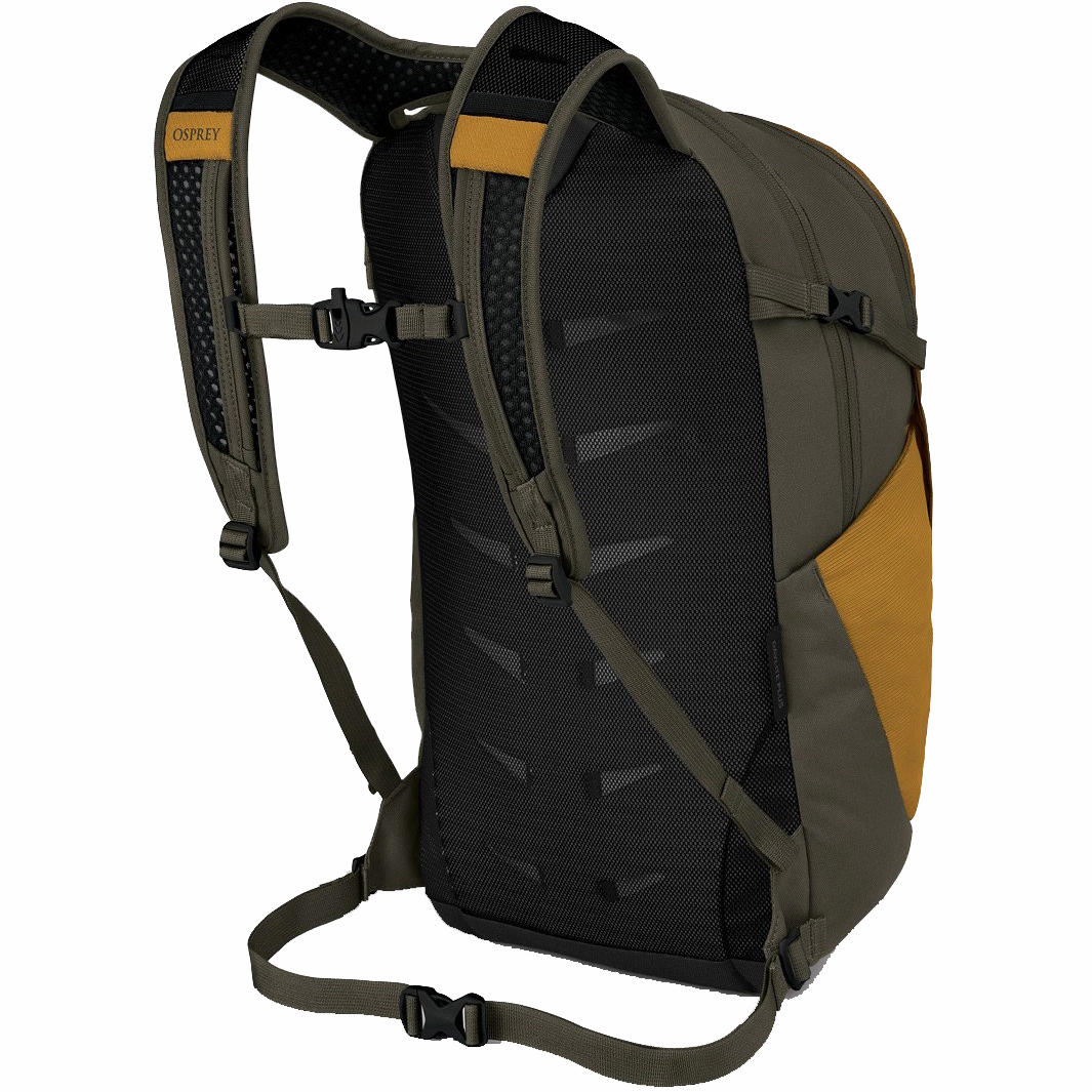 Daylite Plus