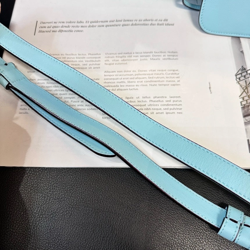 Dior Diorissimo Baby Blue Crossbody Handbag
