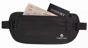 Eagle Creek Silk Money Belt