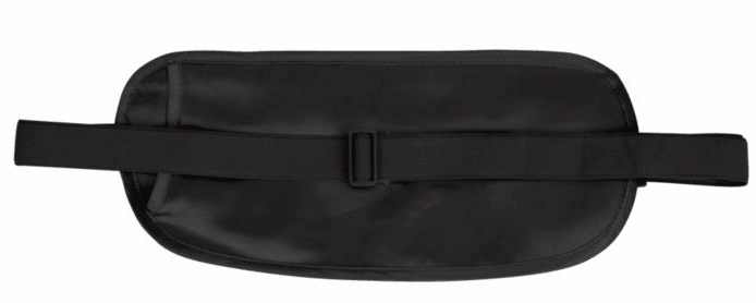 Eagle Creek Silk Money Belt