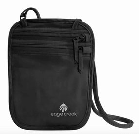 Eagle Creek Silk Undercover Neck Wallet