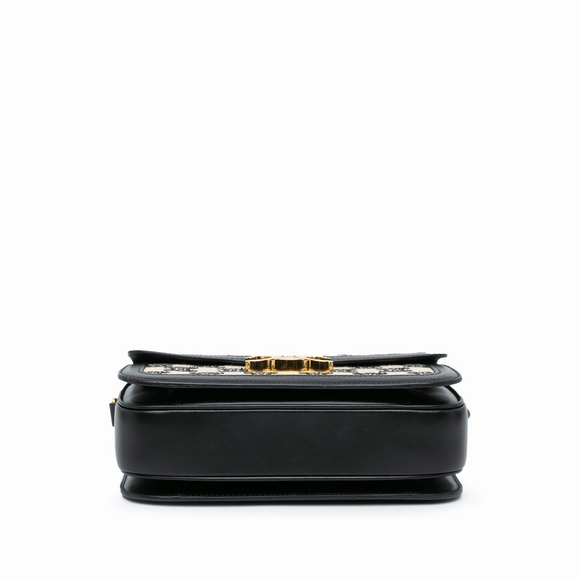 Embroidered Canvas Triomphe Crossbody