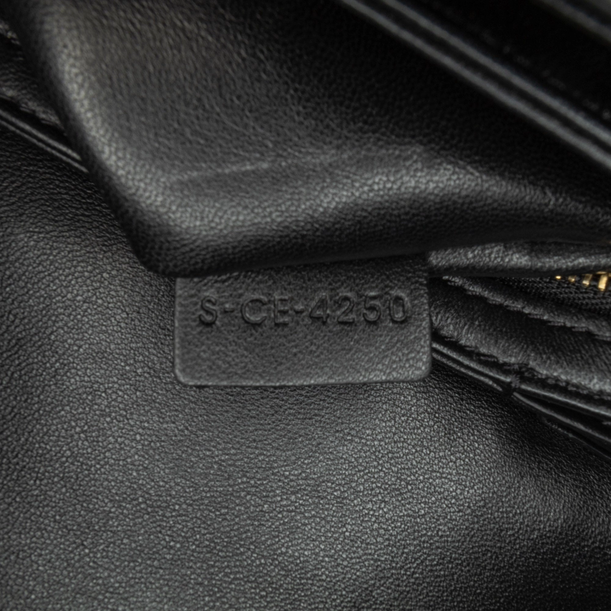 Embroidered Canvas Triomphe Crossbody