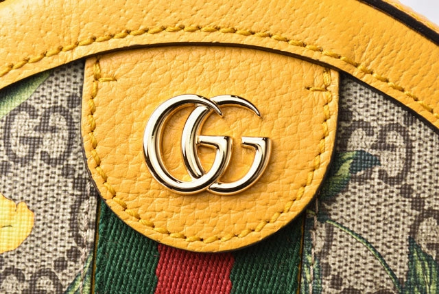 Gucci GG Supreme Canvas/Leather Chain Shoulder Bag 550618