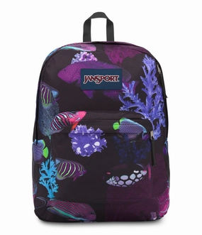 JanSport Classic High Stakes