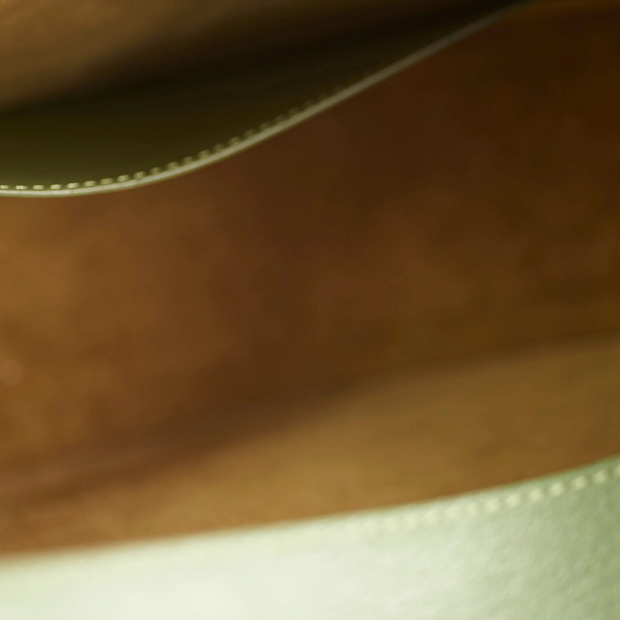 Loewe Luna Bag Green