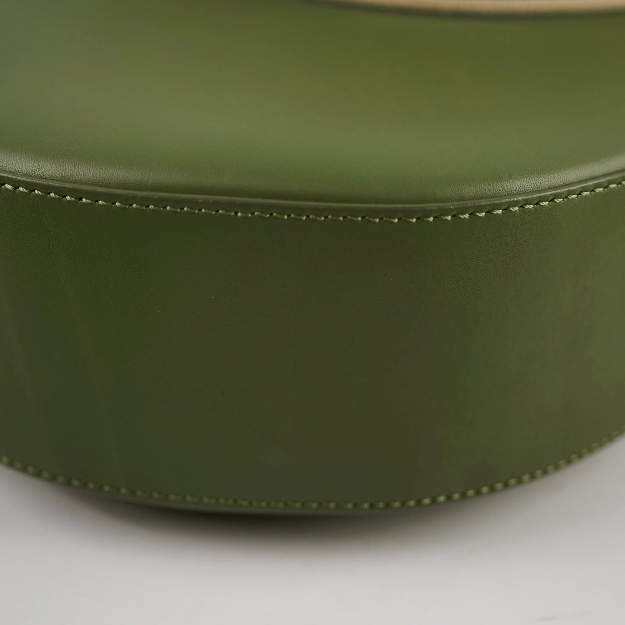 Loewe Luna Bag Green