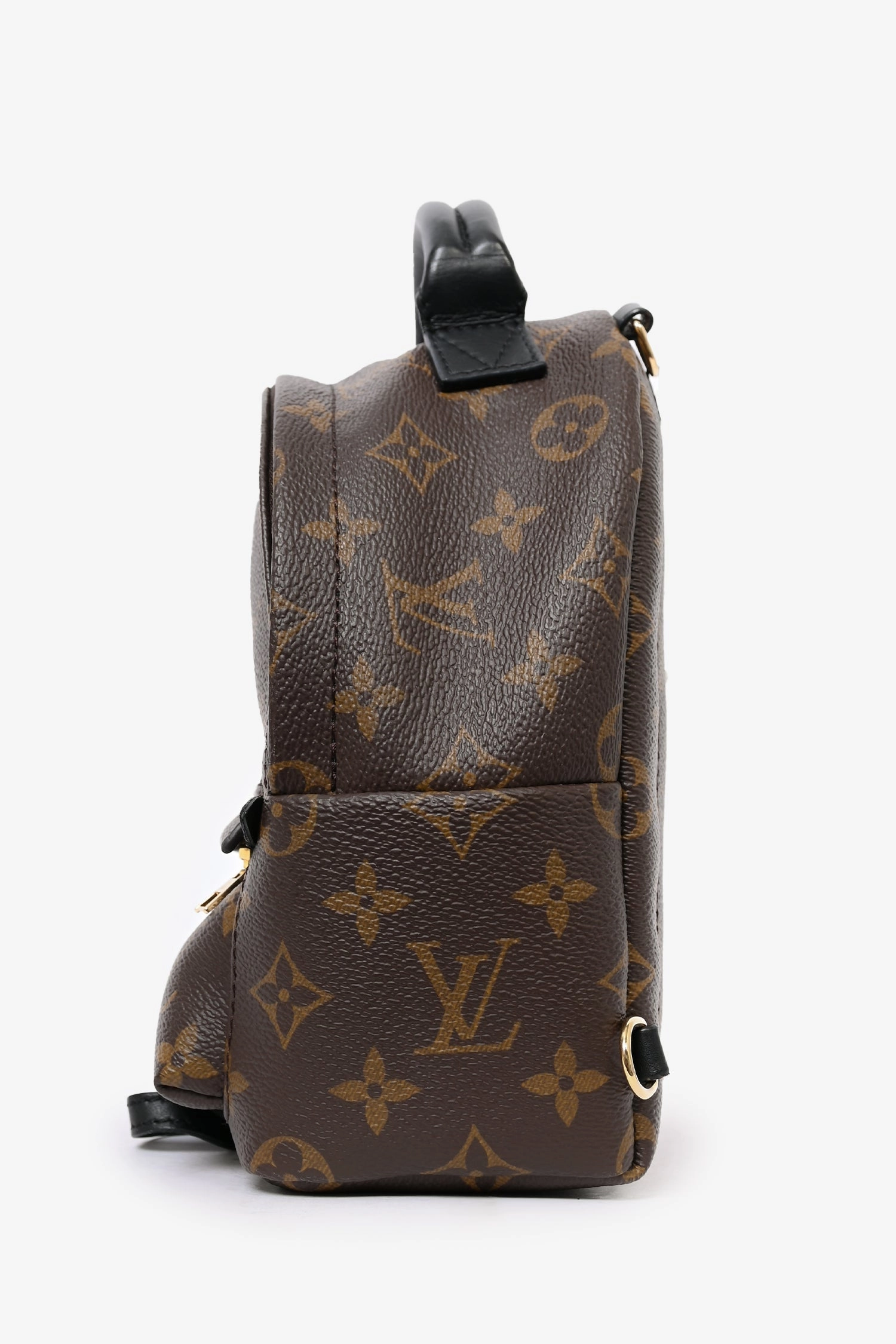 Louis Vuitton 2019 Monogram/Black Palm Springs Mini Backpack