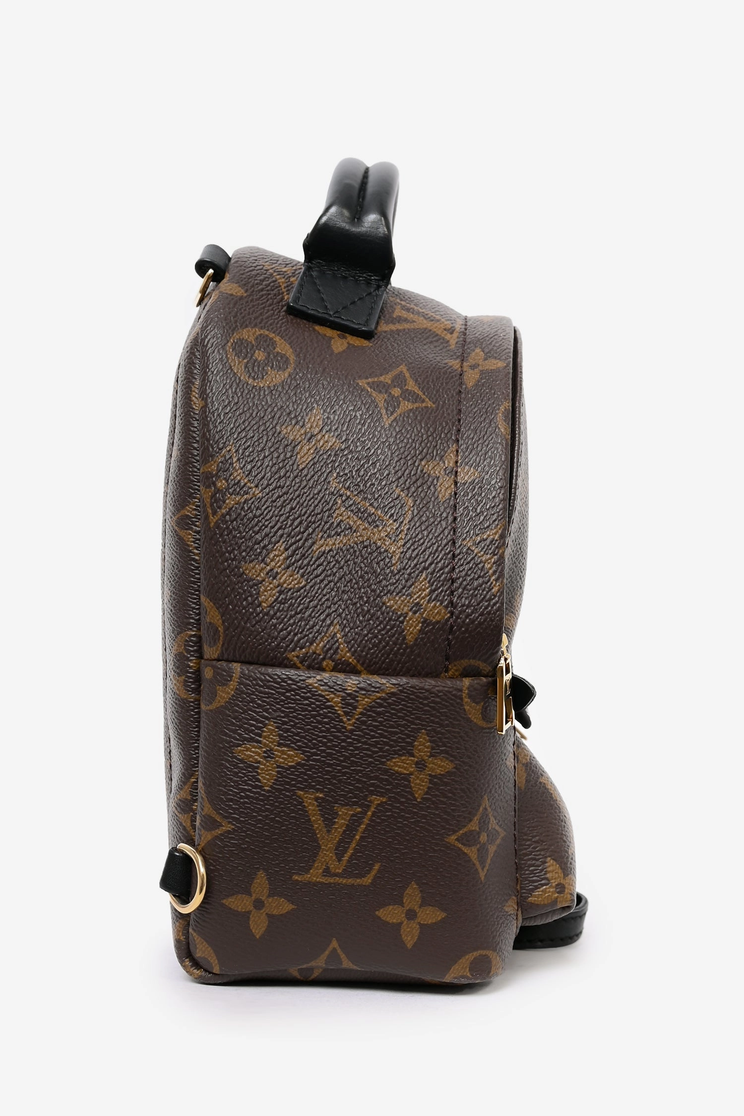 Louis Vuitton 2019 Monogram/Black Palm Springs Mini Backpack