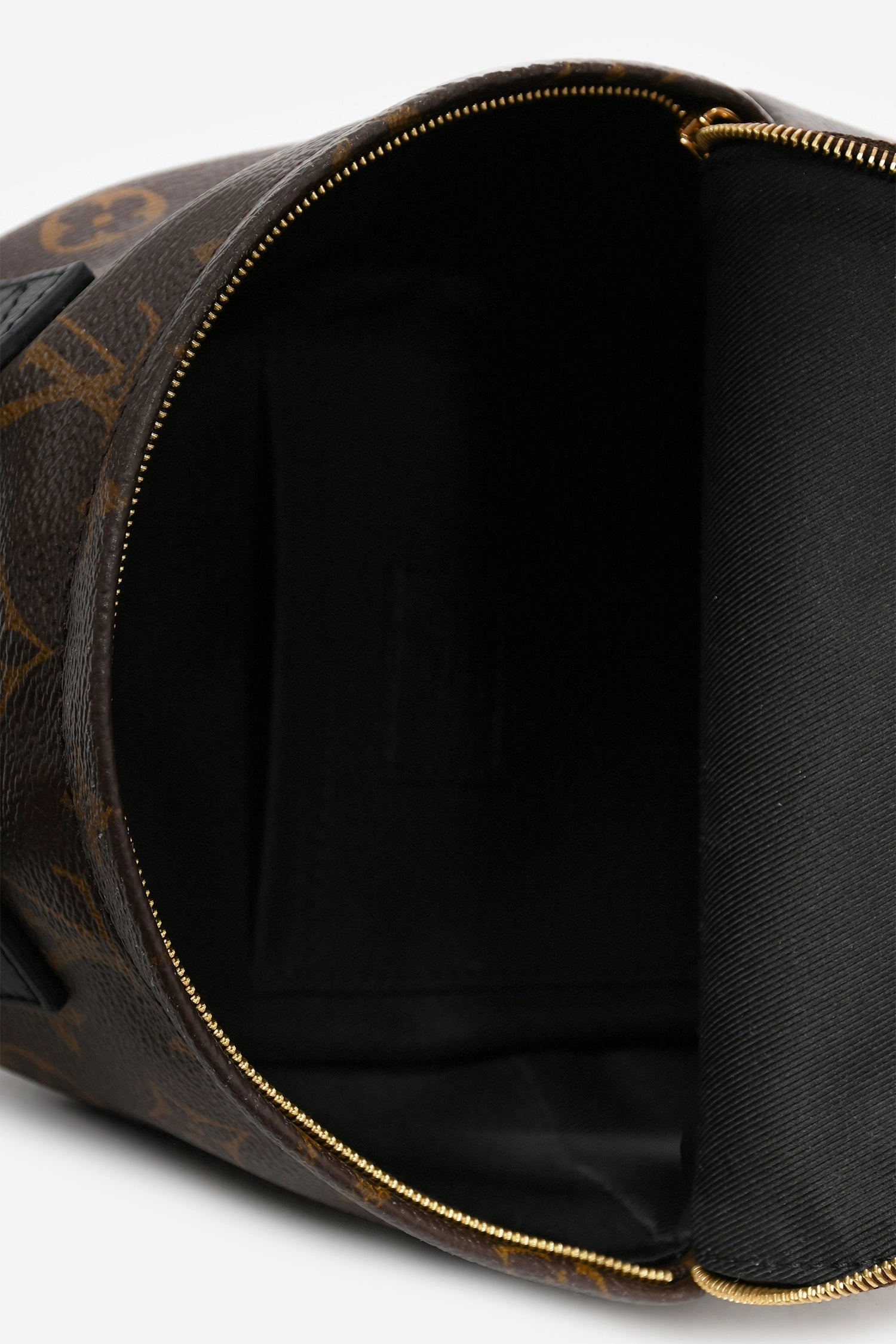 Louis Vuitton 2019 Monogram/Black Palm Springs Mini Backpack