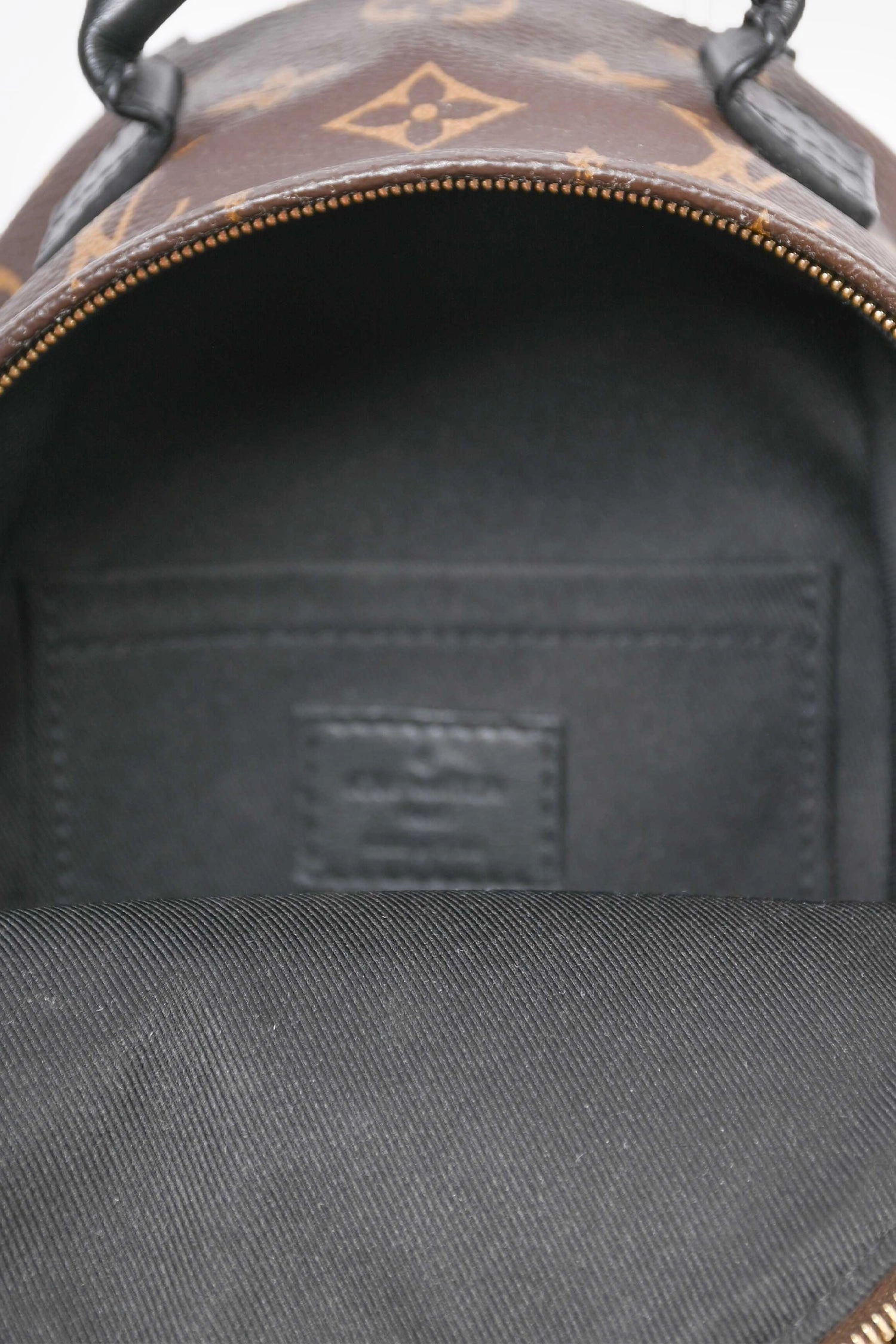 Louis Vuitton 2019 Monogram Palm Springs PM Backpack