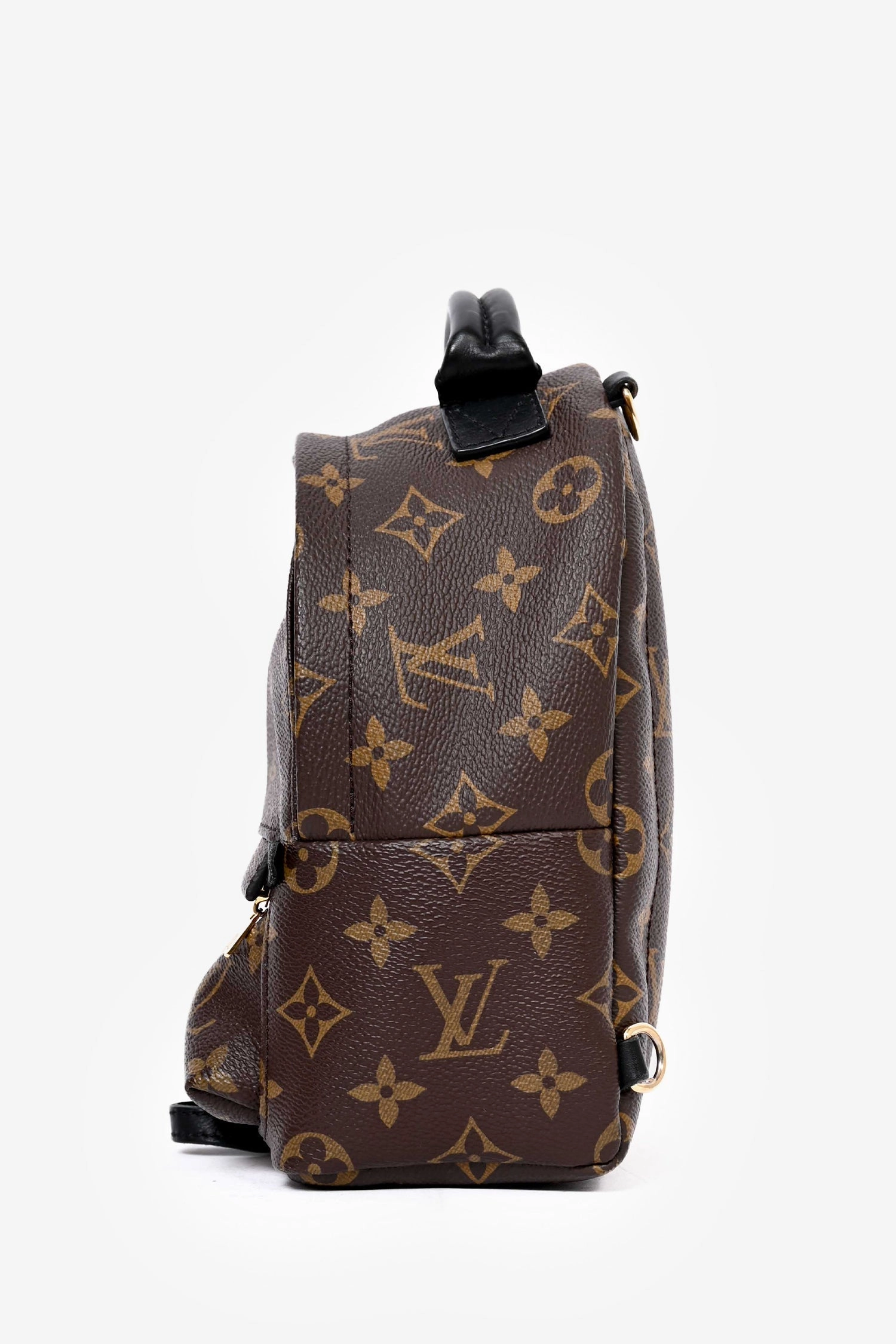 Louis Vuitton 2019 Monogram Palm Springs PM Backpack