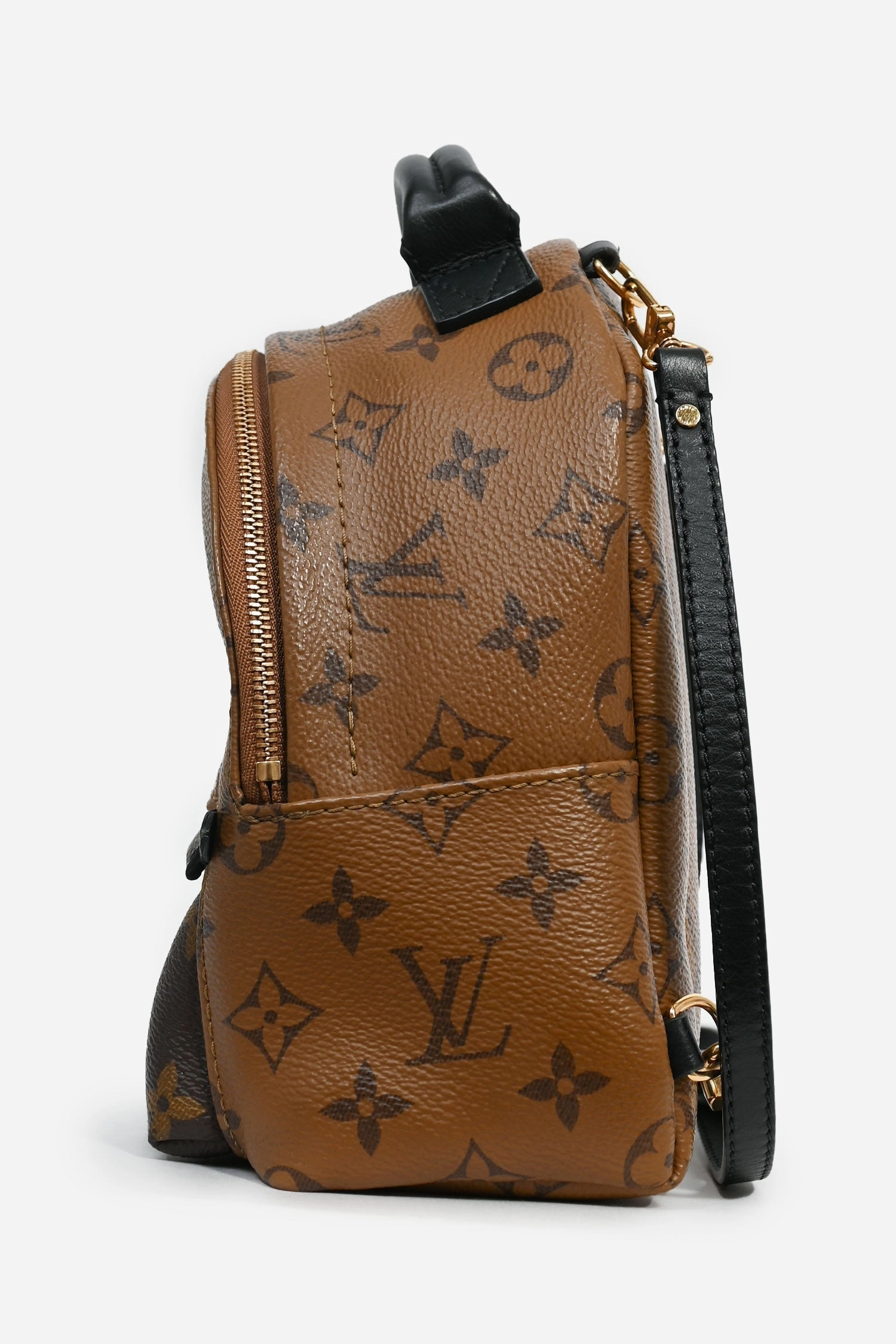 Louis Vuitton 2020 Reverse Monogram Palm Springs Mini Backpack
