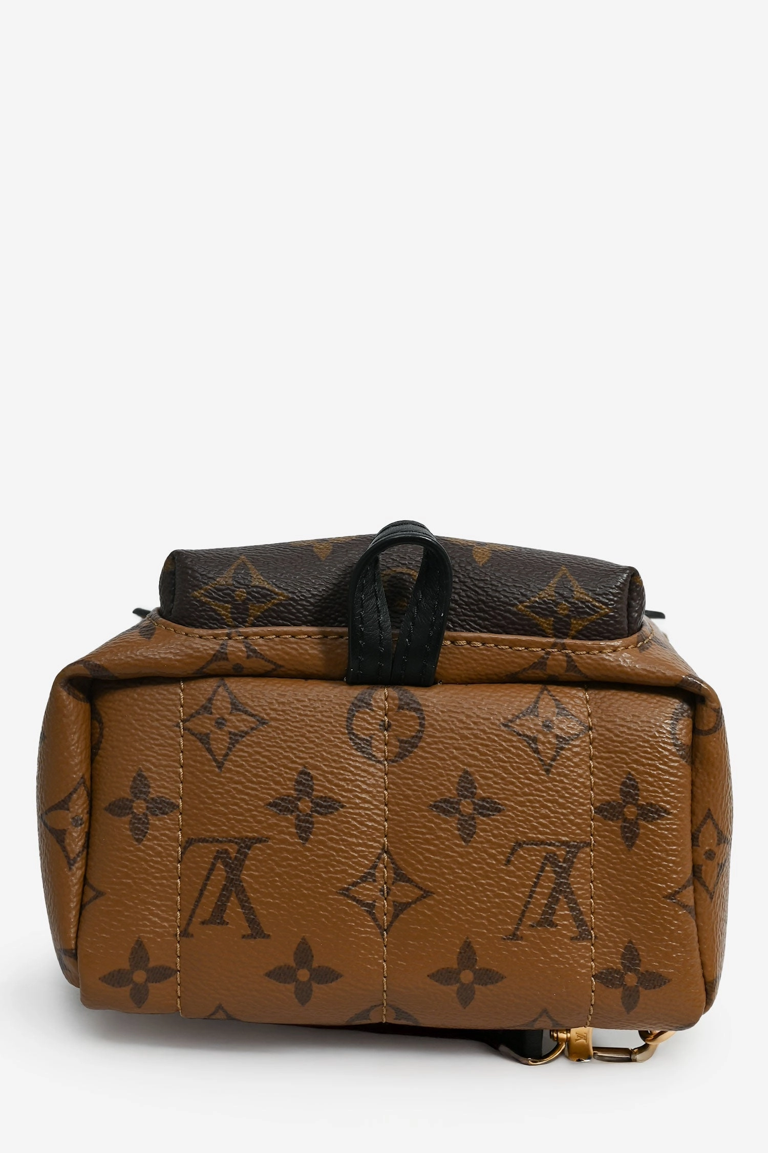 Louis Vuitton 2020 Reverse Monogram Palm Springs Mini Backpack