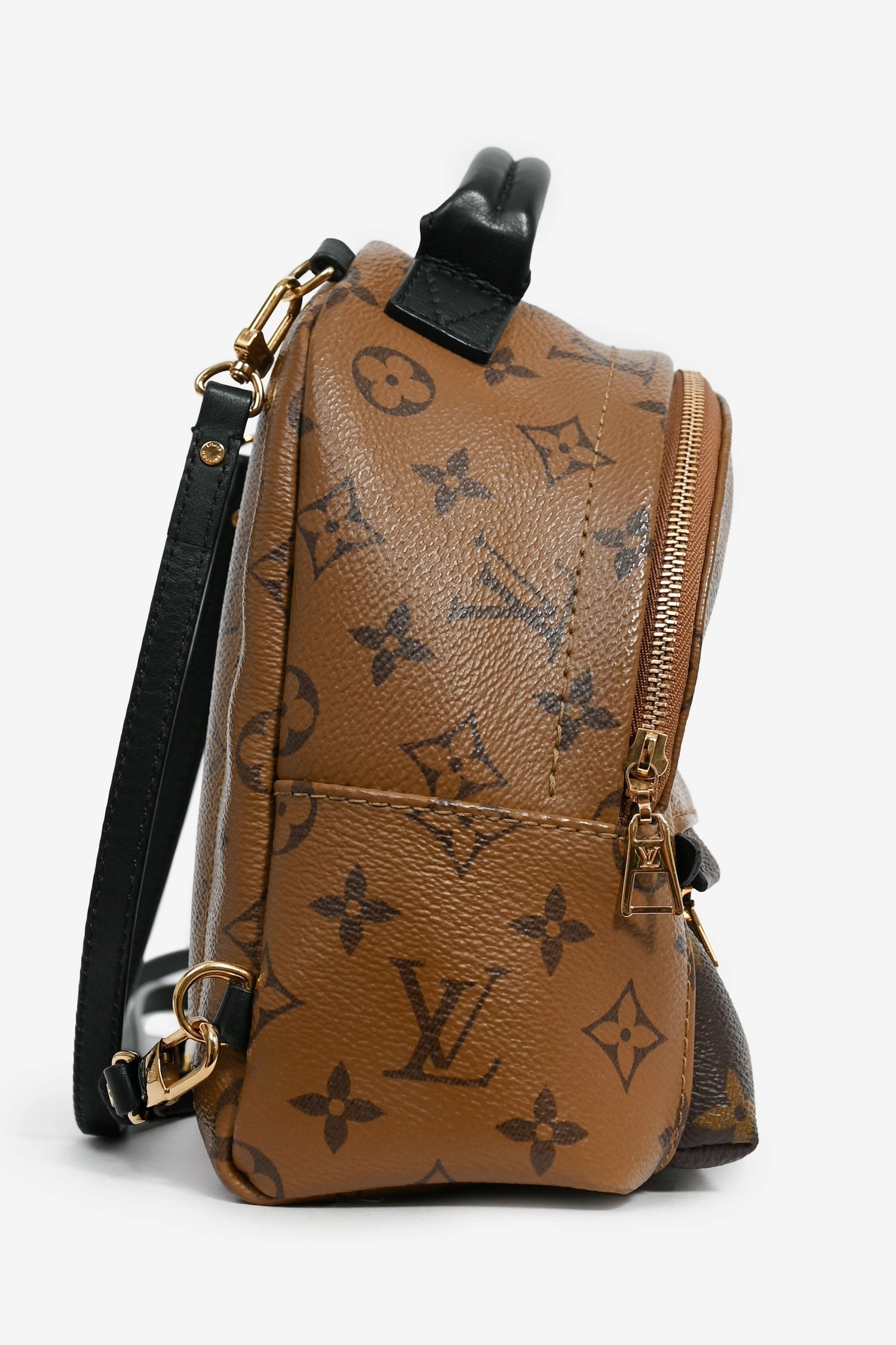 Louis Vuitton 2020 Reverse Monogram Palm Springs Mini Backpack