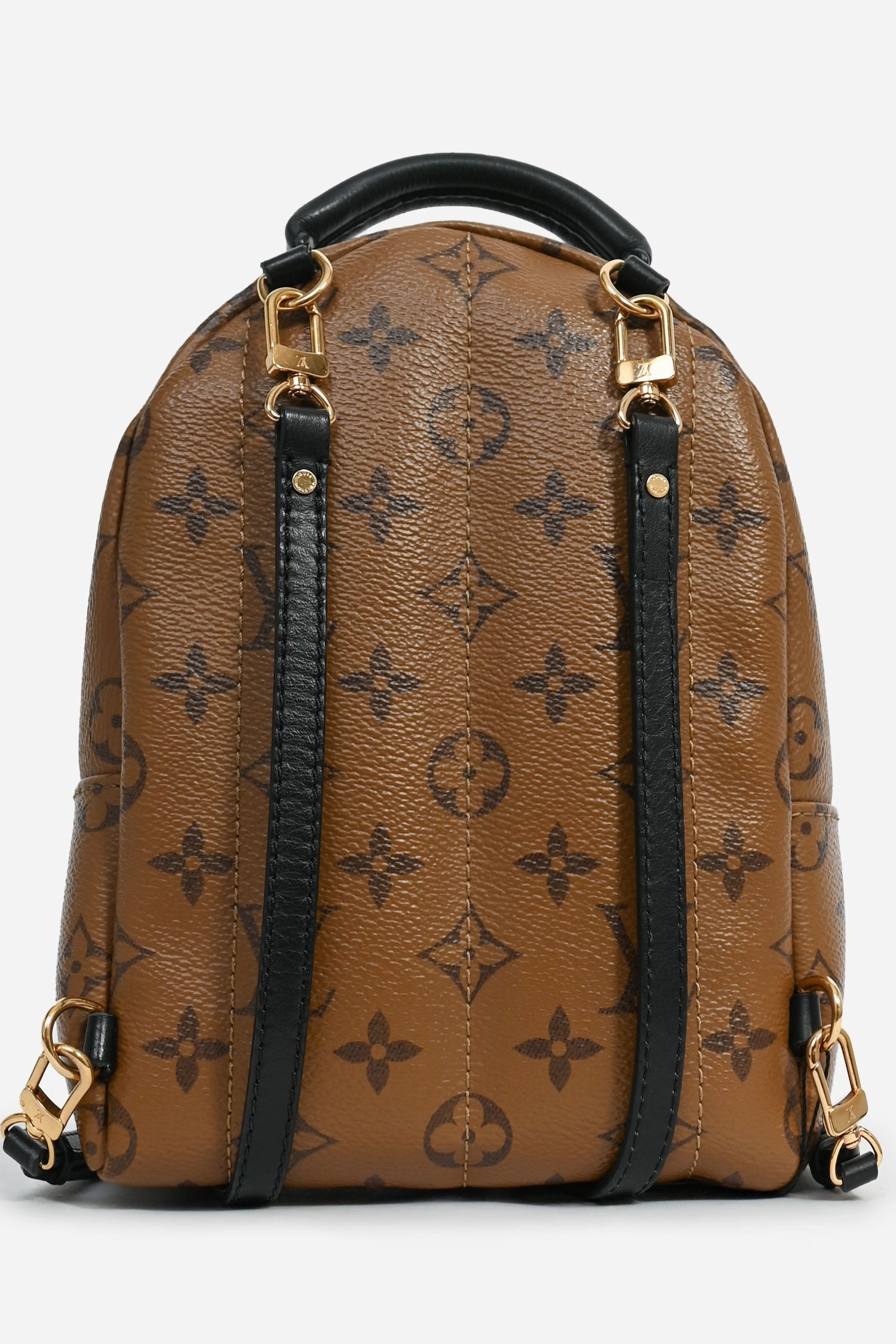 Louis Vuitton 2020 Reverse Monogram Palm Springs Mini Backpack