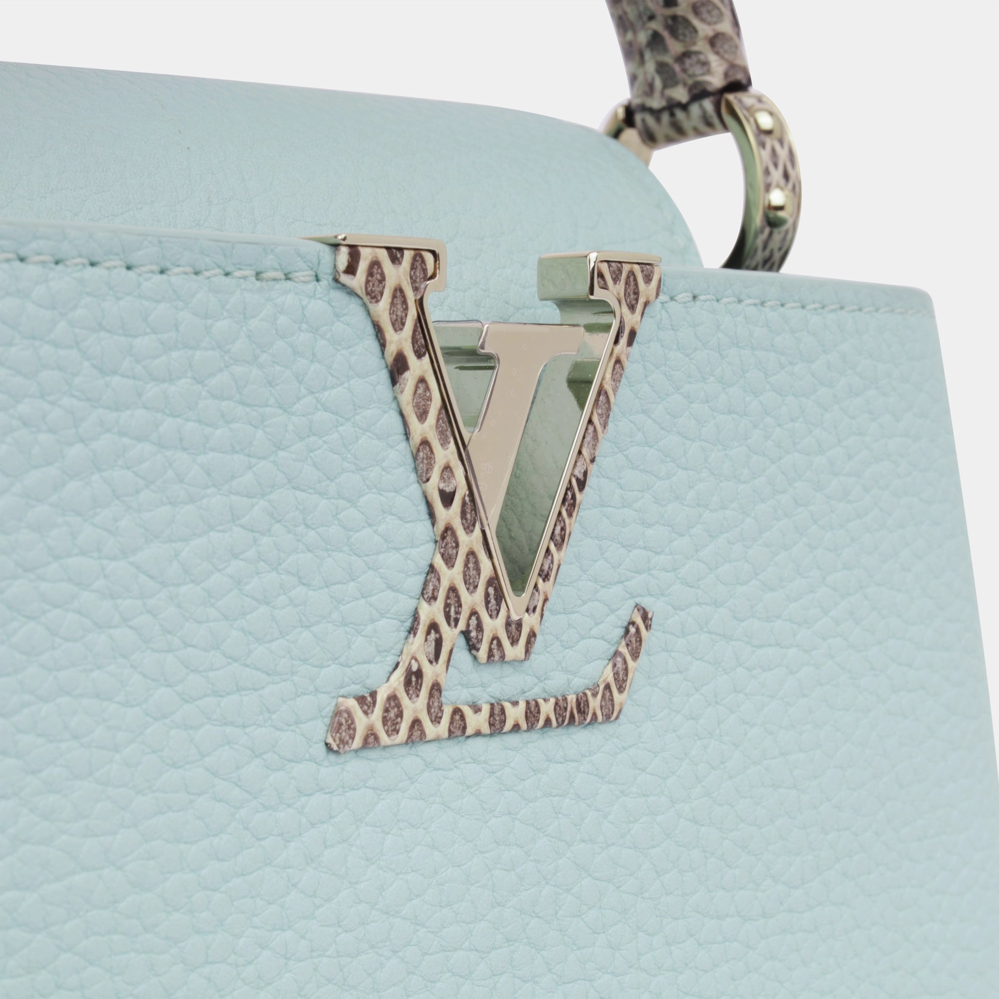 Louis Vuitton Capucines Mini