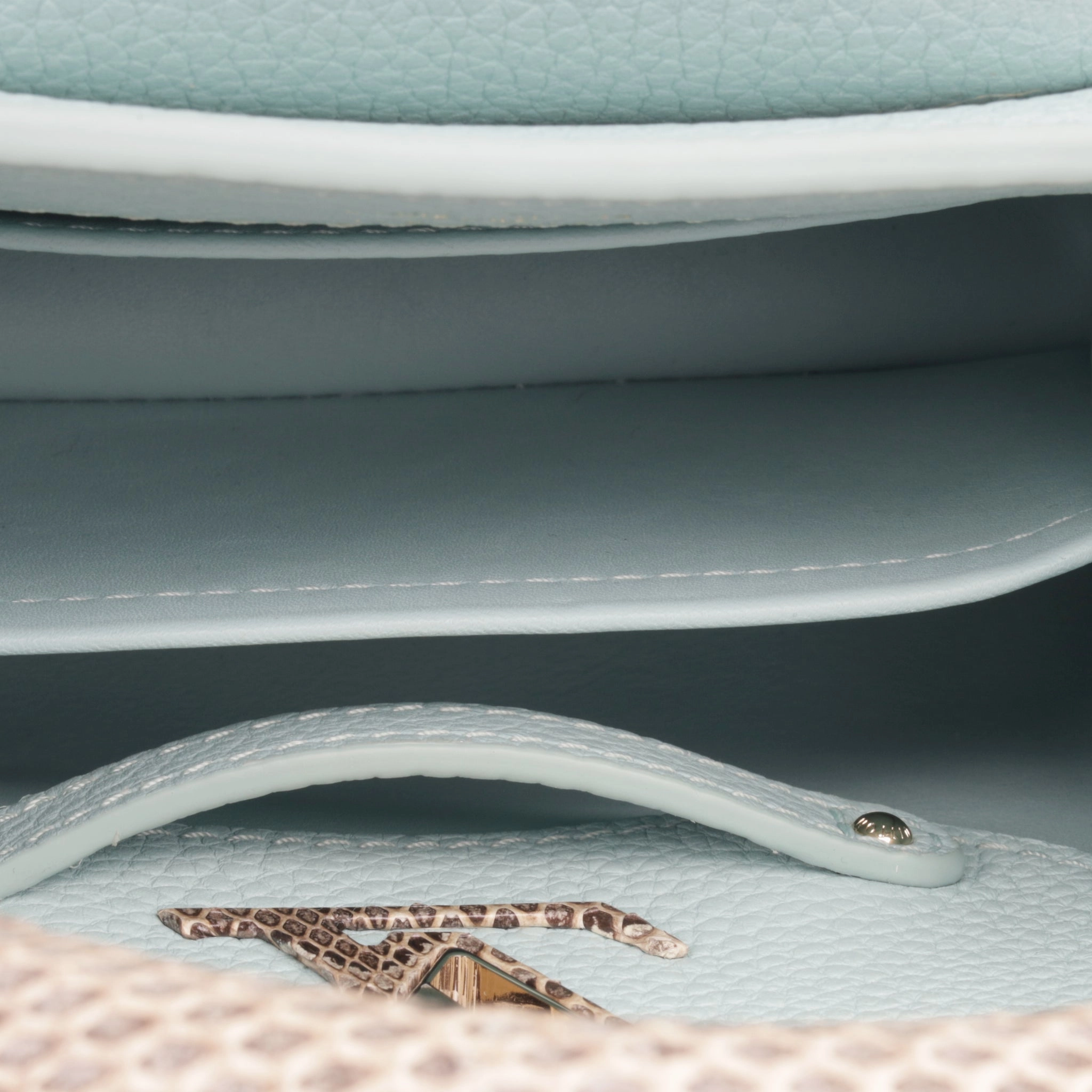 Louis Vuitton Capucines Mini