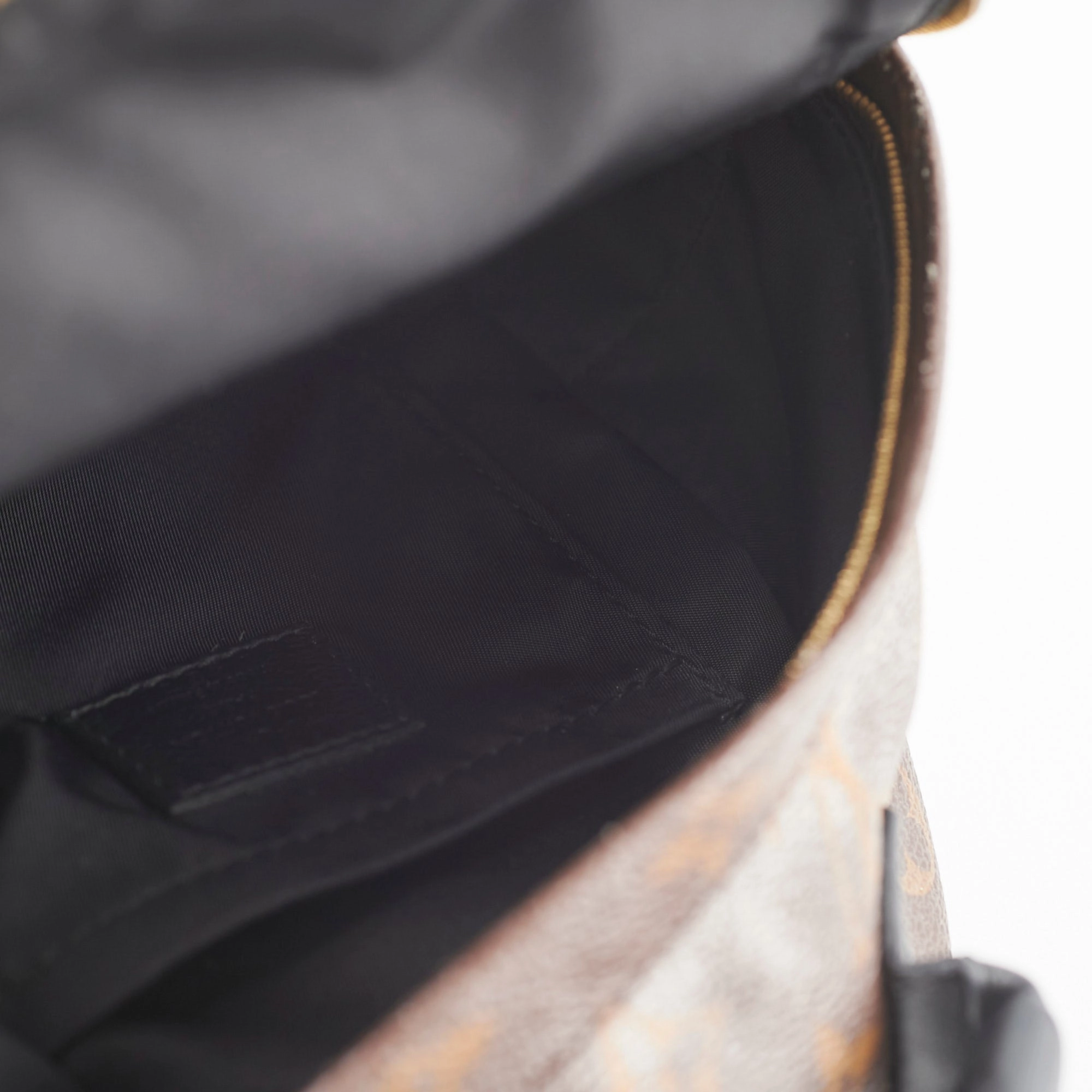 Louis Vuitton Mini Palm Spring Backpack Monogram