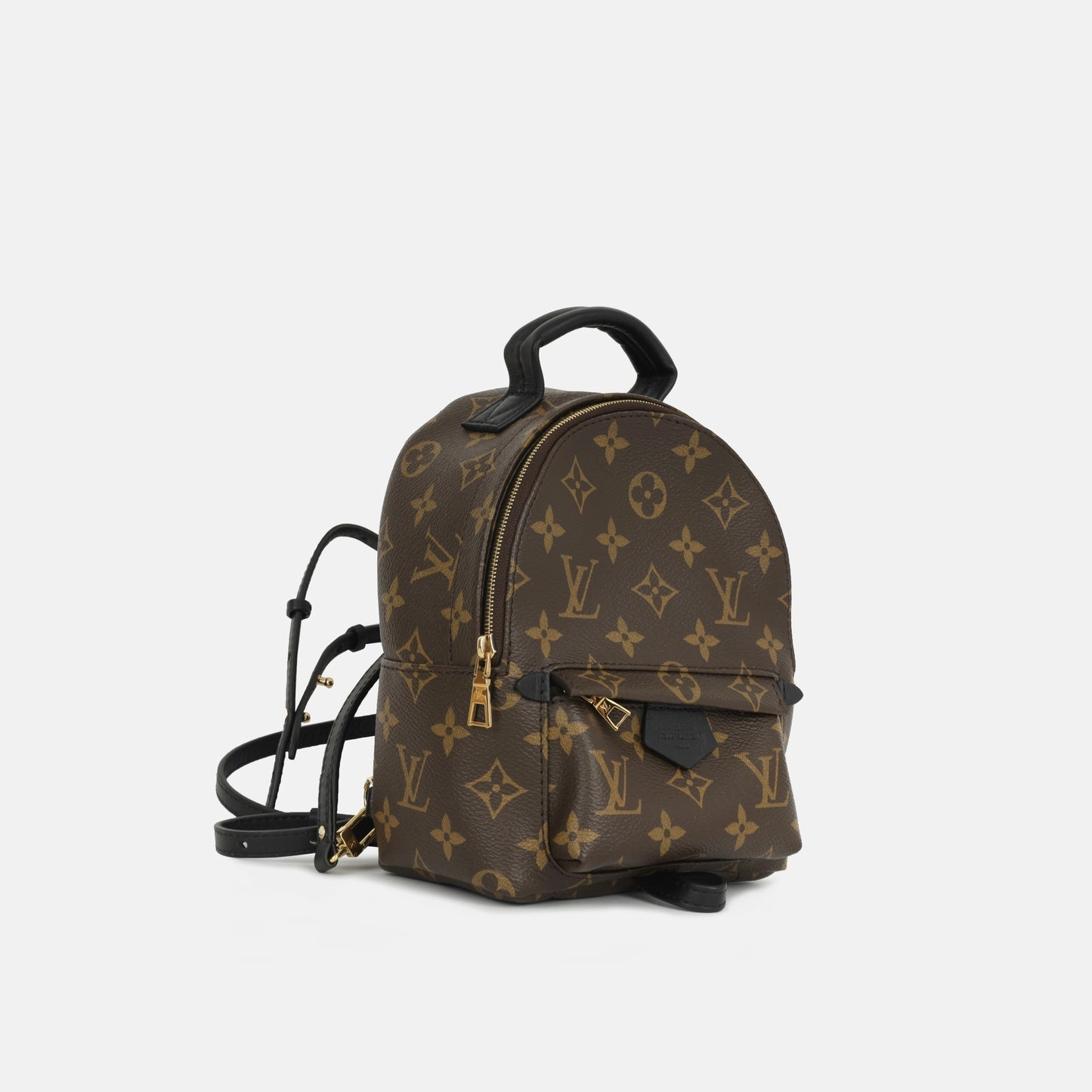 Louis Vuitton Mini Palm Springs Backpack Monogram GHW