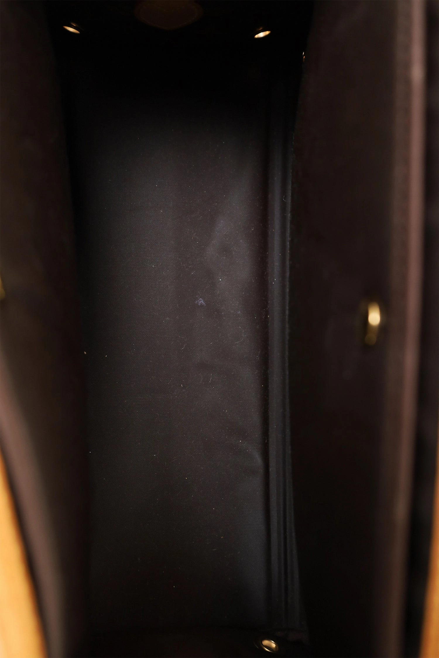 Louis Vuitton Monogram Baxter Dog Carrier GM