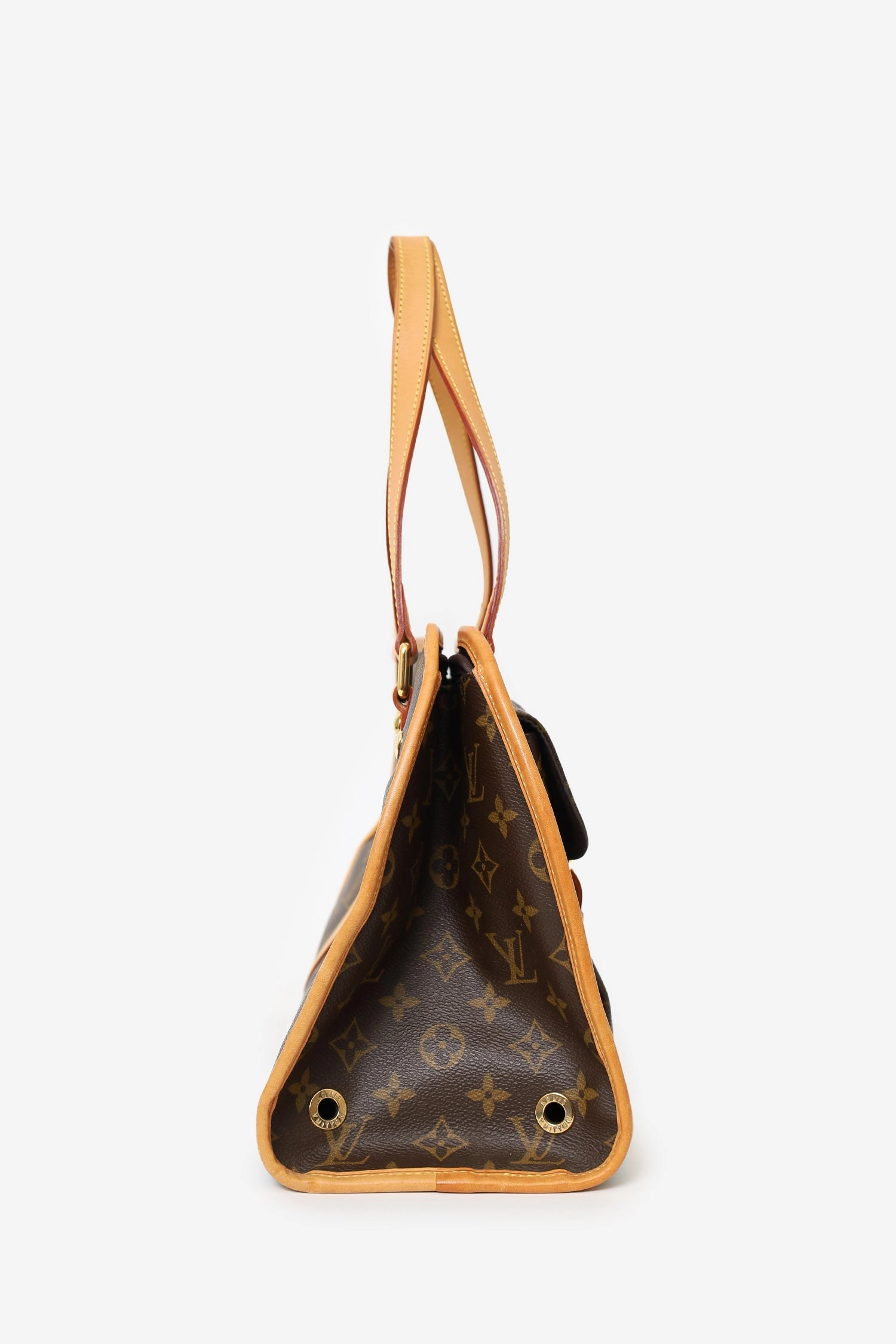 Louis Vuitton Monogram Baxter Dog Carrier GM