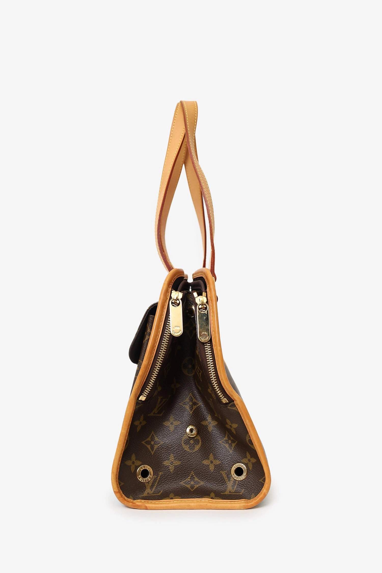 Louis Vuitton Monogram Baxter Dog Carrier GM